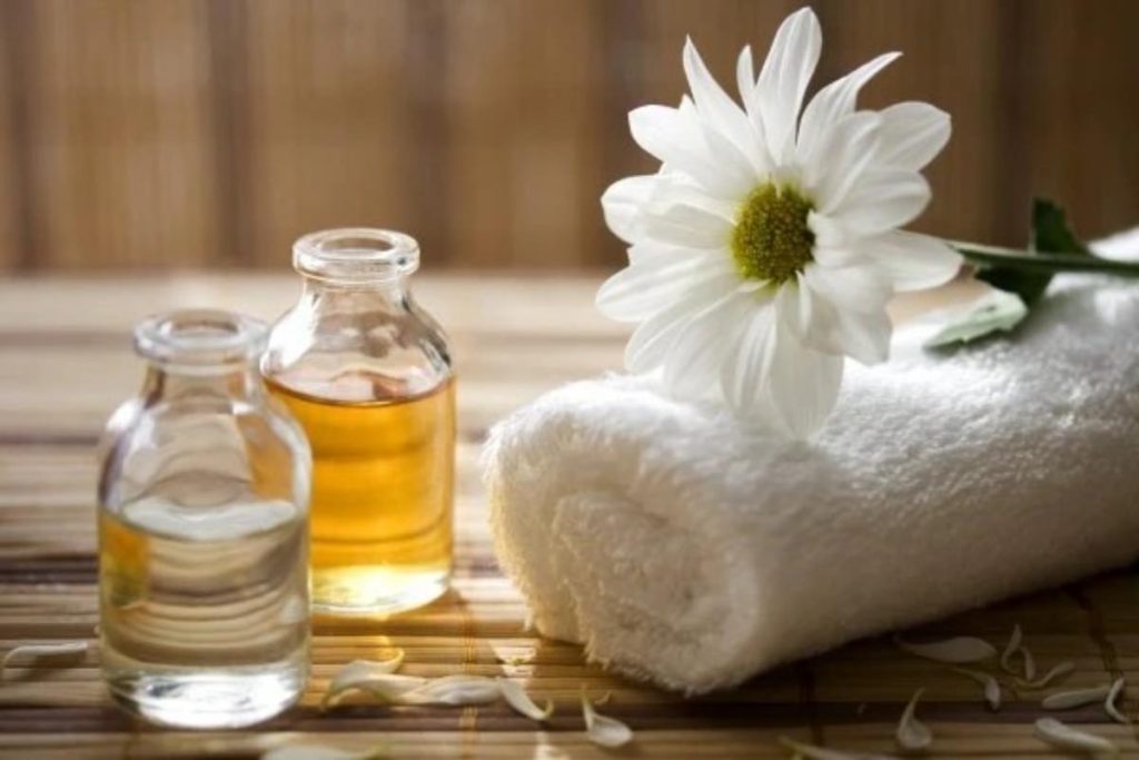 Otoño La Estación Perfecta para Renovar Energías